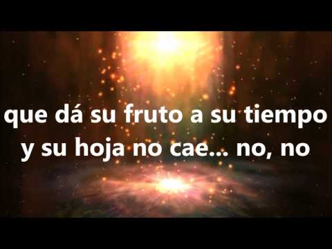 Bajo El Abrigo Del Altisimo video