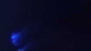 JAZZAJ la ARCUB: CONCERT LIVE „IN MEMORIAM JOHNNY RĂDUCANU“