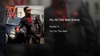 Fly on the Wall (intro) Music Video