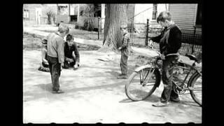 Amber Waves Goodbye - The Lost Dogs