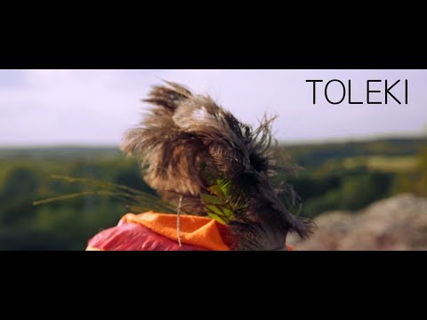 KWANZ - TOLEKI - clip officiel // Réalisé par Haute Coupure Vidéo