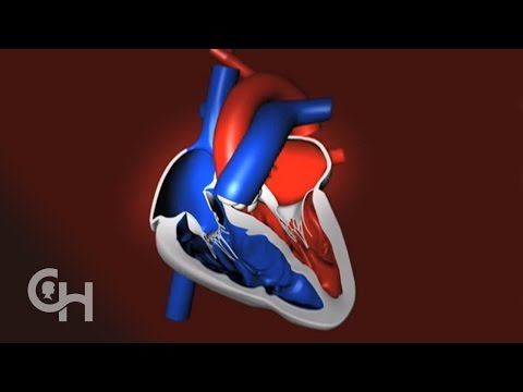 How a Normal Heart Pumps Blood -- The Children's Hospital of Philadelphia