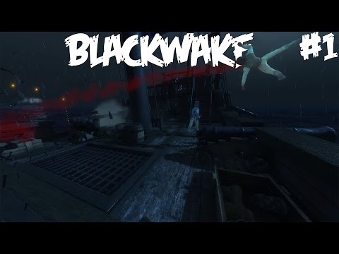 ME OLLAAN MERIROSVOJA - Pelataan Blackwake