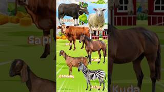Download lagu sapi, domba, kerbau #hewan #sapi #domba #kerbau #animal #animasi #kartun mp3 Download lagu sapi, domba, kerbau #hewan #sapi #domba #kerbau #animal #animasi #kartun mp3