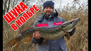 Рыбалка в старом осколе на щуку