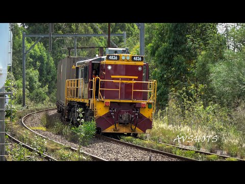 Sydney Metropolitan Goods Line Trains | Enfield & Chullora | 4836 Loco, 4190, 3BW7, 3BA6, IH65, 2196