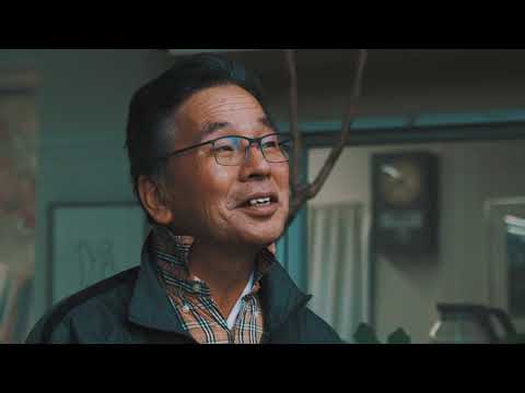 Niwaki: Jake's story