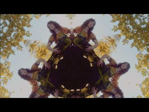 "Flower Duet Theme" / "Duo des Fleurs" - Patty Gurdy (Hurdy-Gurdy Version of the opera Lakmé)