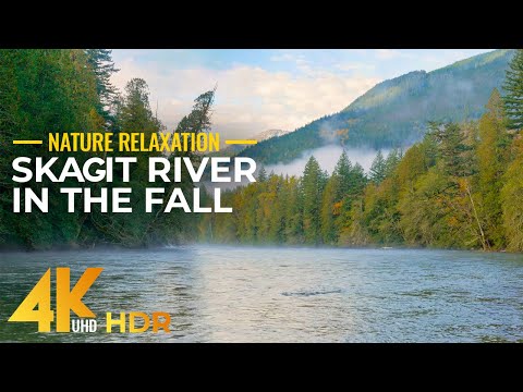 Skagit River in Late Fall - 4K HDR Autumn Beauty of Mountain River in North Cascades + Nature Sounds
