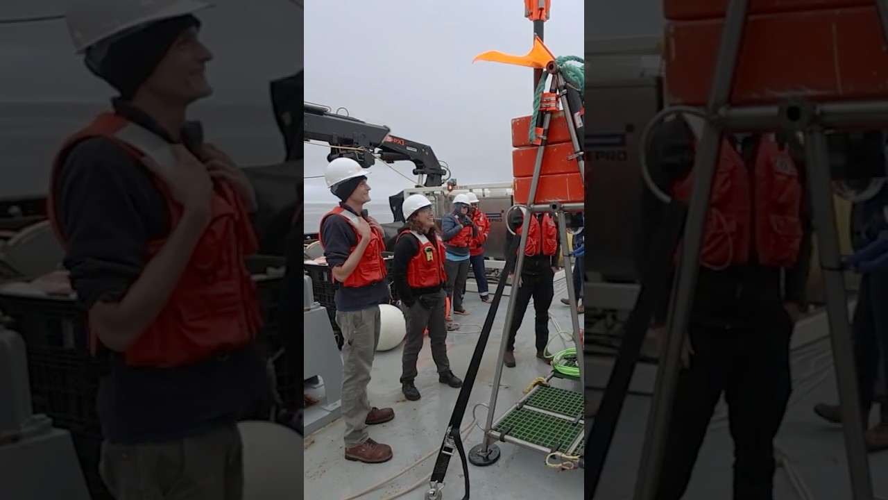 New technology reveals the hidden world of marine snow 🌊❄️🔬