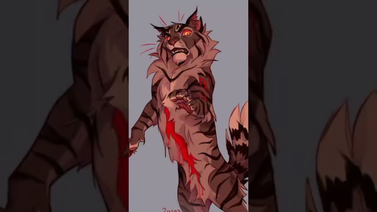 Warrior cats edit//Tigerstar//Original?//#warriorcats//#warriors//#shorts