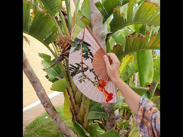 Vídeo relacionado con Malamalaka |Abanico De Madera Ilustrado con Diseño Original | Abanico para Ocasión con Estilo | Original | Tamaño de 23 cm | Fácil De Utilizar | Exclusivos para Regalo | Mandala Lila Oscuro