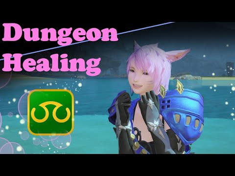 FFXIV Scholar Dungeon Healing Guide