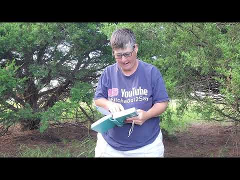 Joy for the journey morning and evening devotional day 236 82425 Sunday purposeful pain