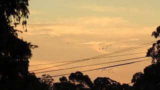 28,2,19.Sundown,out the front