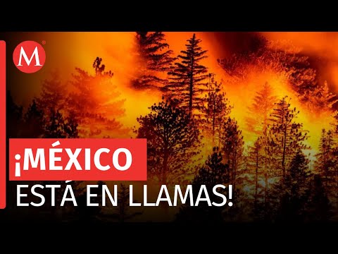 Protección Civil reporta 26 incendios activos en México