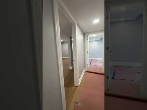 901 Agatite - Video 2 of 2