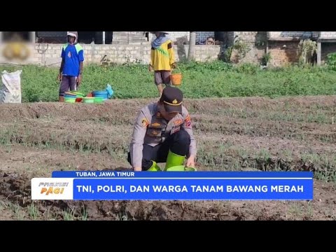 POLISI, TNI, DAN GAPOKTAN DI TUBAN WUJUDKAN PROGRAM KETAHANAN PANGAN