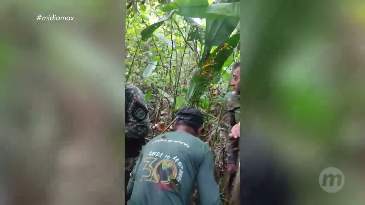 Encontrado corpo de caseiro atacado por onça em Aquidauana