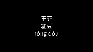 王菲-紅豆(hóng dòu)RED BEAN |Pinyin|Scrolling |Lyric|Chinese|Mandarin Song