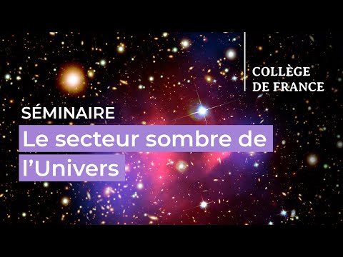 Le secteur sombre de l'Univers : matière et énergie noires
