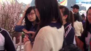 [Anh 2] Hoa Anh Đào + Nhà Huyền