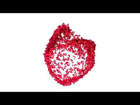 Sailothangi Sailo - Runhmun len i rel ang aw(w|Lyrics)