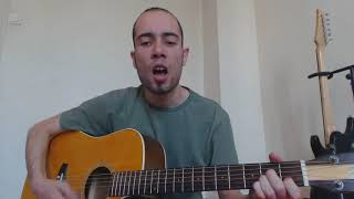 The Lawrence Arms - Necrotism: Decanting The Insalubrious - Acoustic Guitar Cover