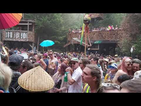 Lazy Syrup Orchestra at the Grove. Shambhala 2019