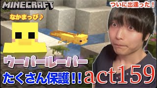 【マインクラフト】ツツジの洞窟でたくさんのウーパールーパーを保護!! UFOに遭遇ww【セイハのセハクラ実況act159】
