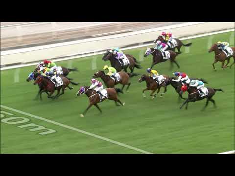 27/12/2021 (280) Brave Power - Vincent Ho