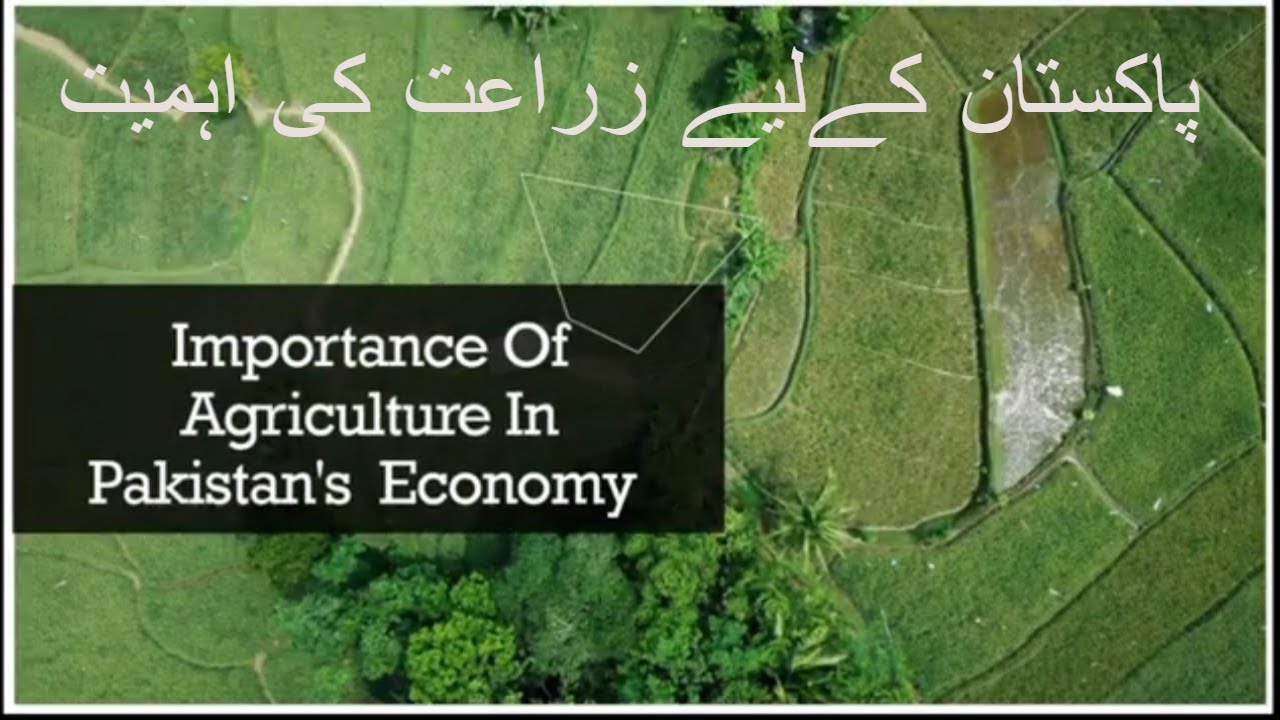 What is the importance of agriculture in Pakistan? Tipseri