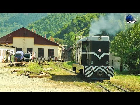 Locomotiva L35H-024 CFF Dieselok la Manevra/Shunting in Gara Viseu de Sus Station - 03 August 2017