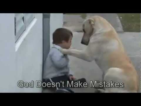 Sweet Mama Dog Interacting with a Beautiful Child with Down Syndrome. From Jim Stenson.