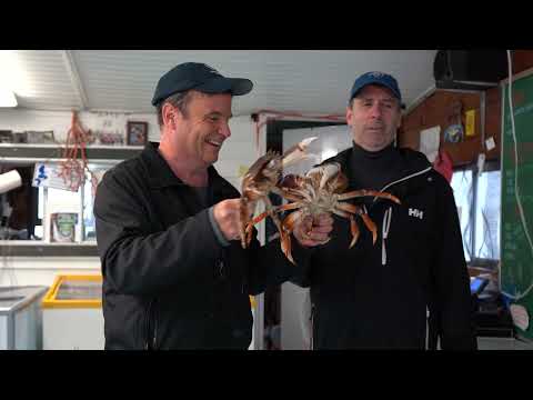 Pessoal de viagem Campbell River/Courtenay/Comox