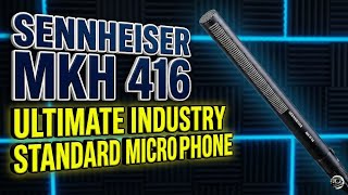 Sennheiser MKH 416 Review: Why It’s Still the Industry Standard for Voiceover & Film