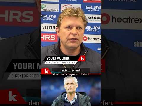 Mulder zu Schalkes Trainerentscheidung: "Van Wonderen hat uns den Spiegel vorgehalten" #shorts