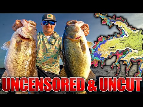 Texas Winter Bass Fishing RAW and UNCUT - Live LIVESCOPE Bass Feeding Footage!