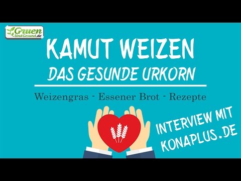 , title : 'Kamut-Weizen, das gesunde Urkorn - Interview mit Konaplus'