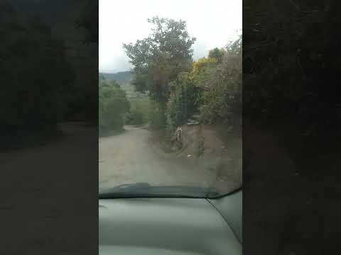VIAJANDO POR LA CARRETERA HACIA ANCUYA NARIÑO. 2025