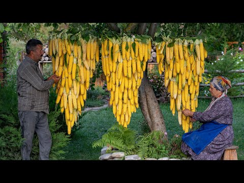 🌽🌽🌽"Lock in Freshness for a Whole Year: The Easiest Method to Preserve Sweet Corn!"🌽🌽🌽