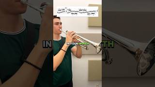 Download lagu The difference between amateurs and pros #musician #band #trumpet #marchingband #brass mp3
