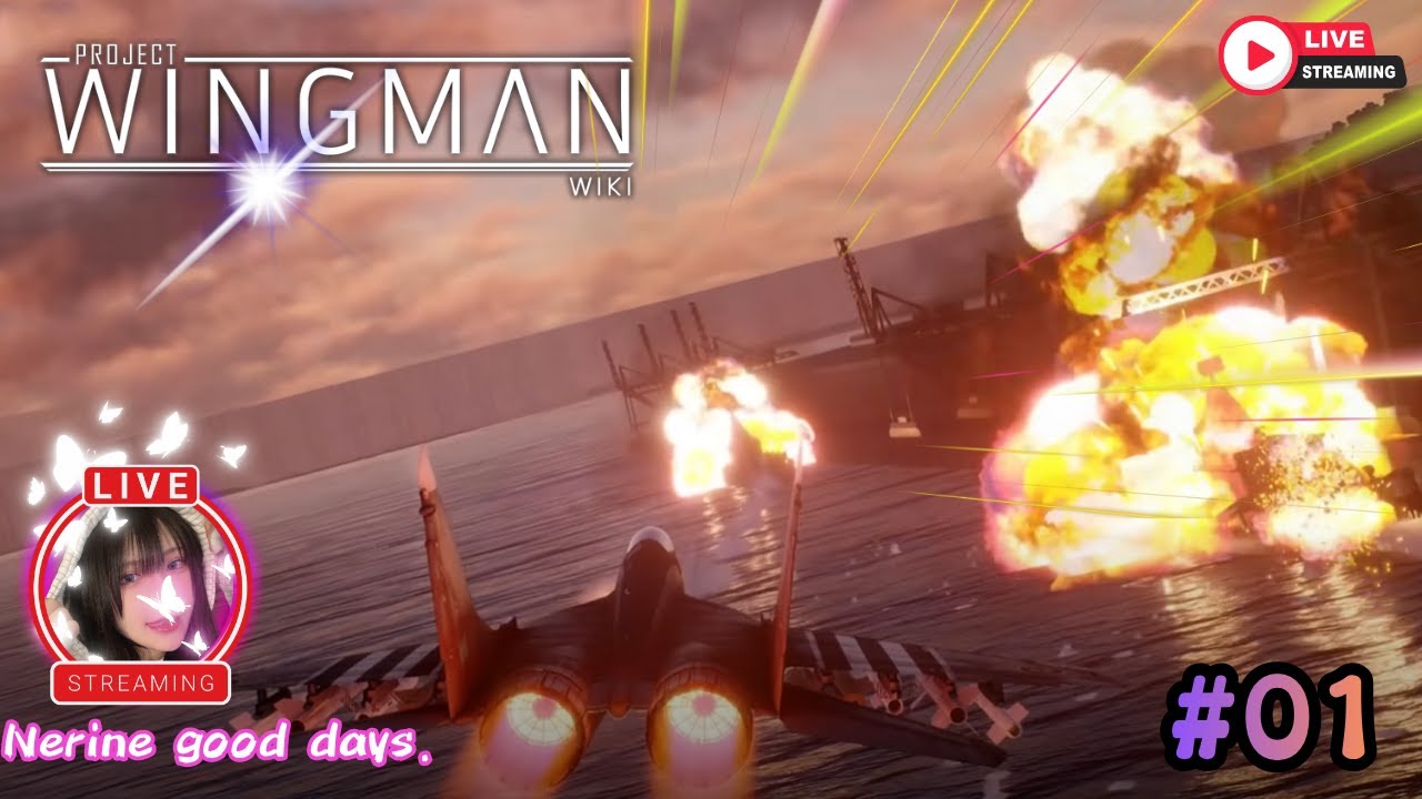 【Project Wingman】　空を制する者は？酔い止めいる‥(笑)　#01