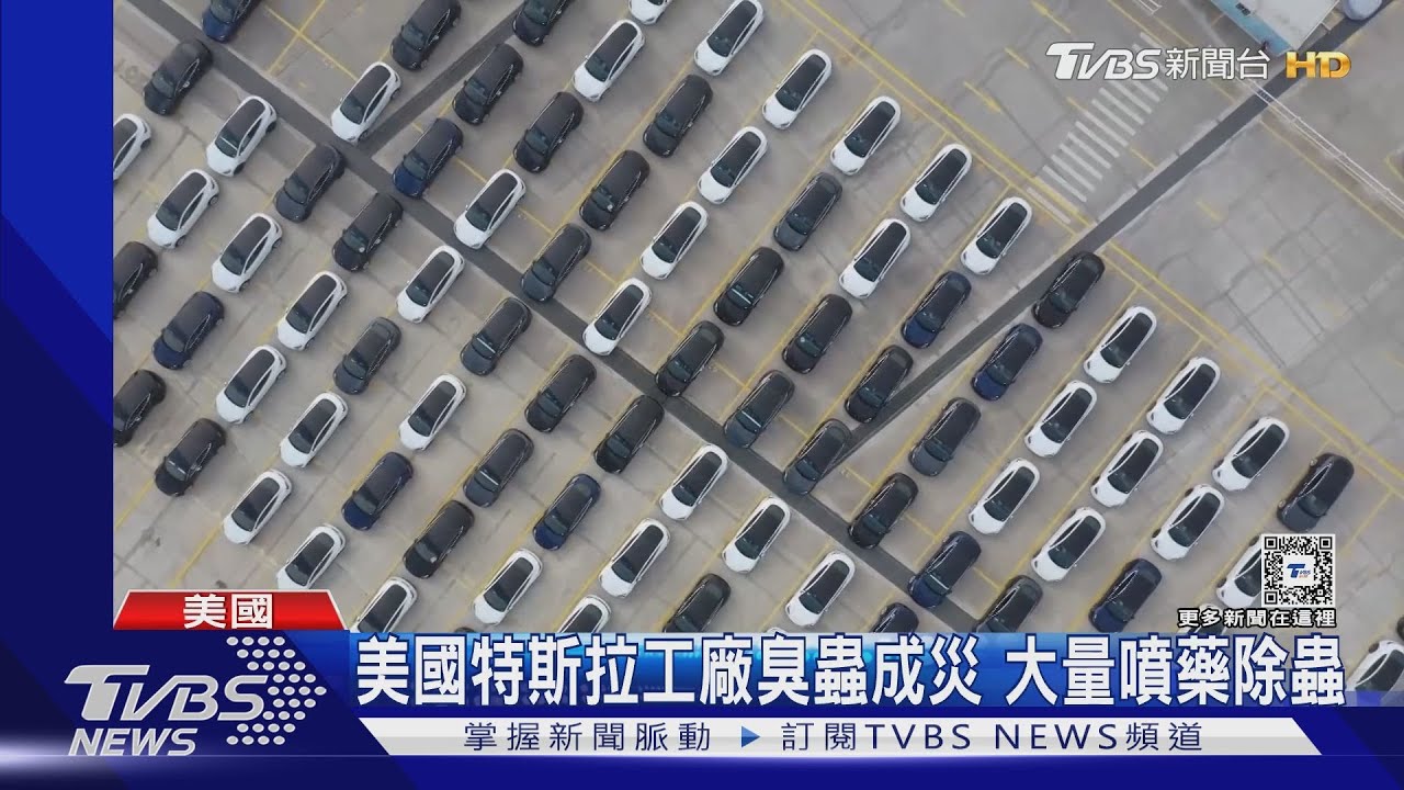特斯拉新車有臭蟲! 抵澳洲整船再退回上海