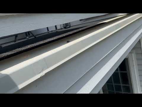 Signs of Carpenter Bees In a Home in Fair Haven, NJ