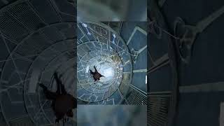 붉은사막 : 미션 임파서블