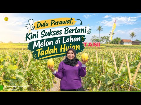 Dulu Perawat, Kini Sukses Bertani Melon di Lahan Tadah Hujan