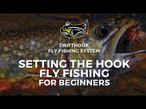 Setting the Hook Fly Fishing for Beginners