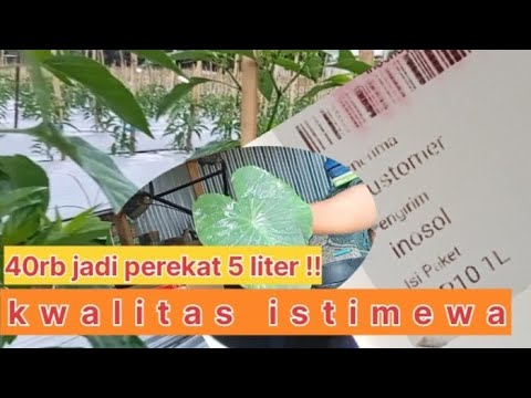 cara membuat perekat dari np 10