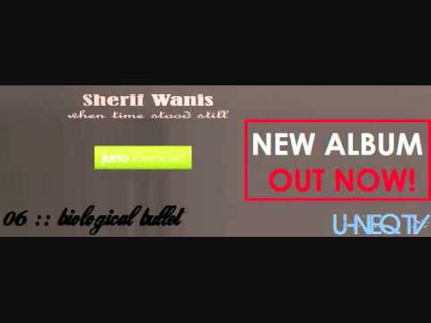 Sherif Wanis - When Time Stood Still (Album)